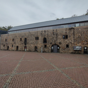 IMG_20250924_141021_MP